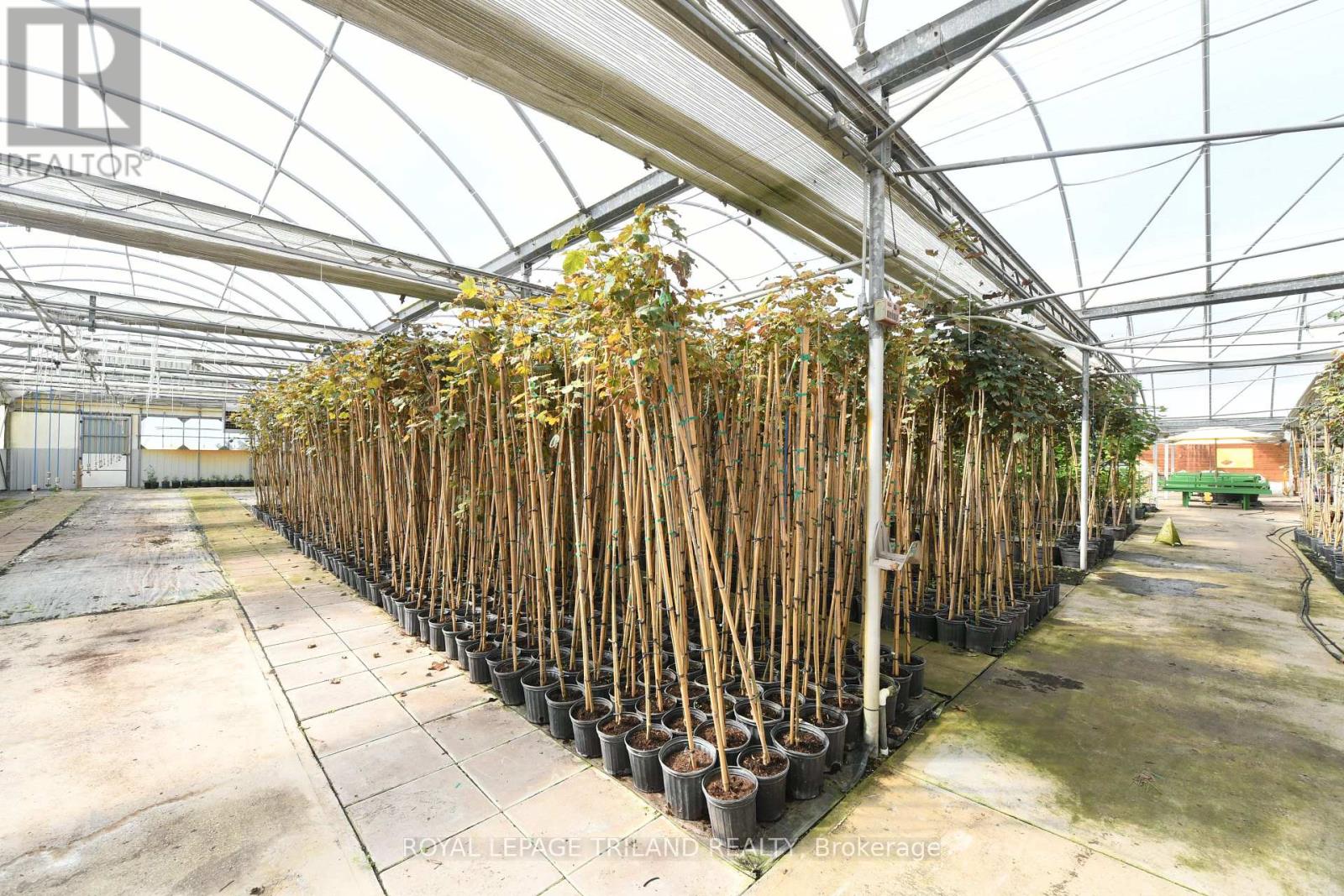 5101 Dundas Street Property Photo 16