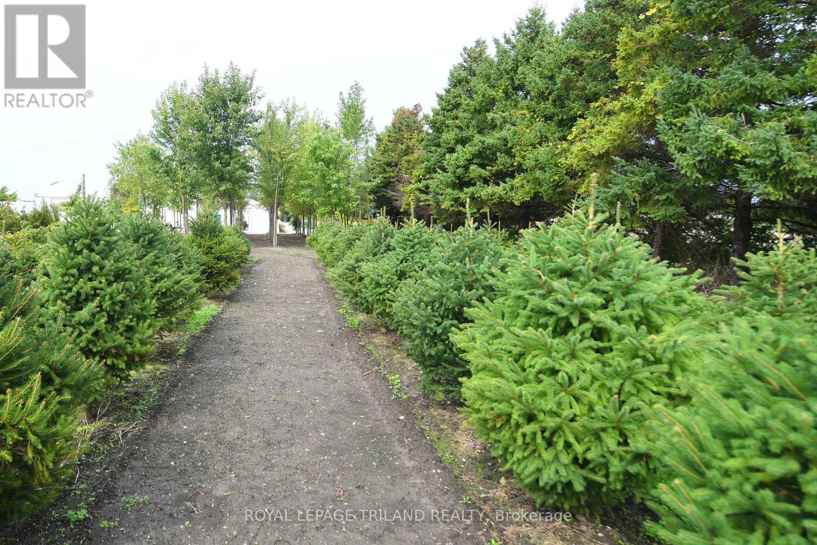 5101 Dundas Street Property Photo 23