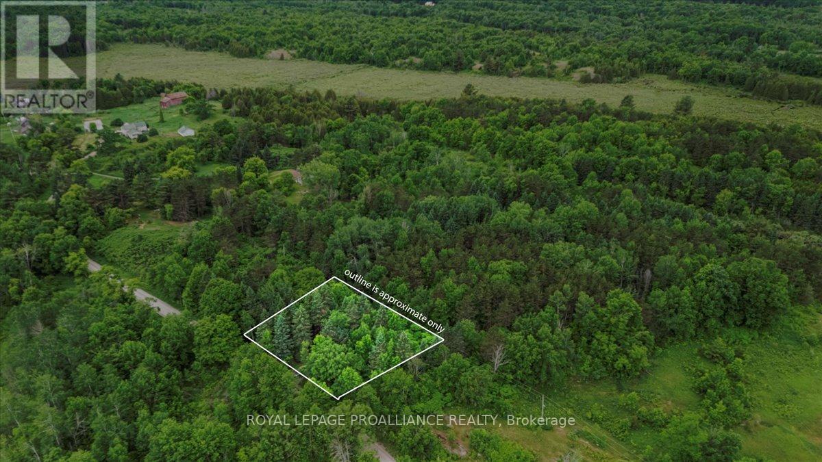 0 Otter Creek Road Property Photo 1