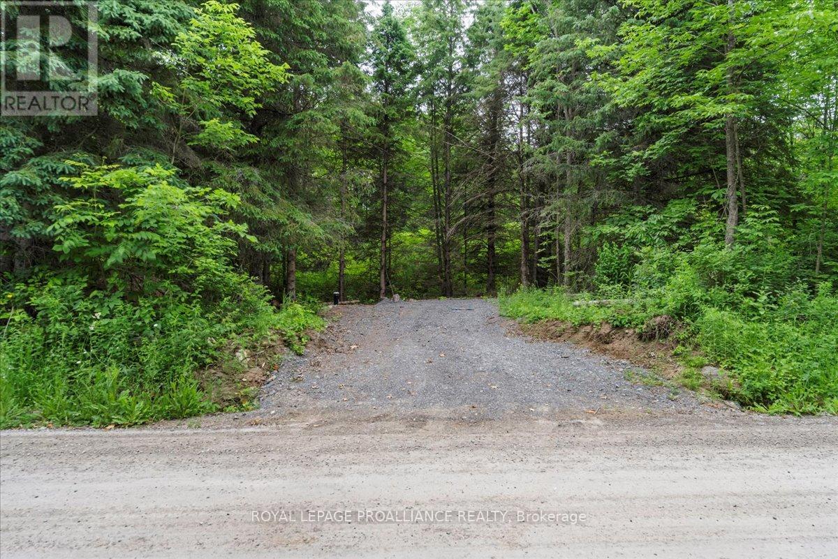 0 Otter Creek Road Property Photo 2