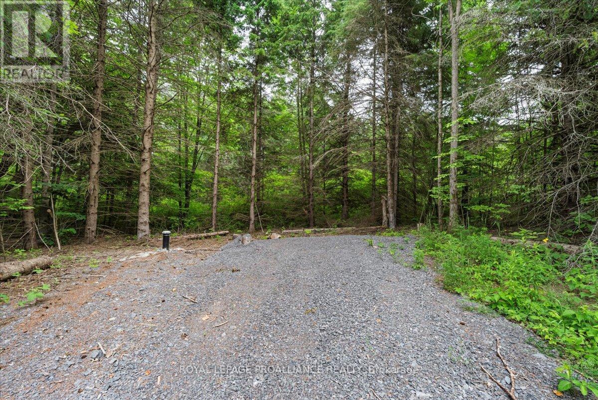 0 Otter Creek Road Property Photo 4