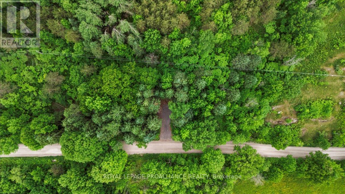 0 Otter Creek Road Property Photo 6