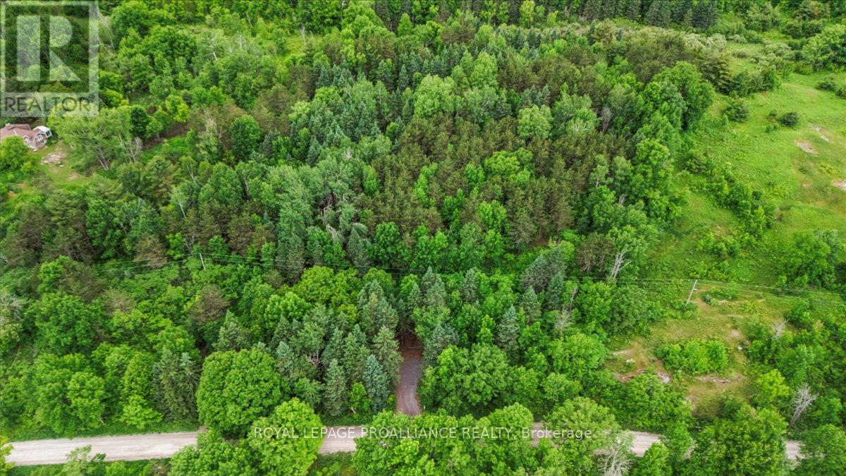0 Otter Creek Road Property Photo 7