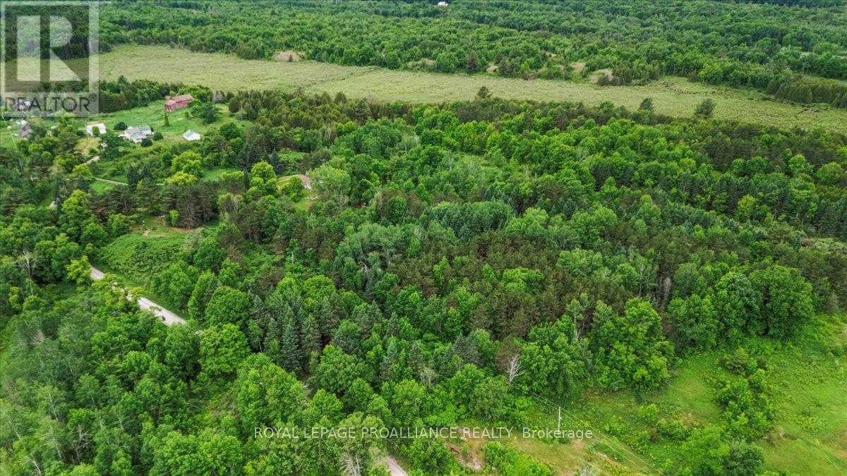 0 Otter Creek Road Property Photo 8