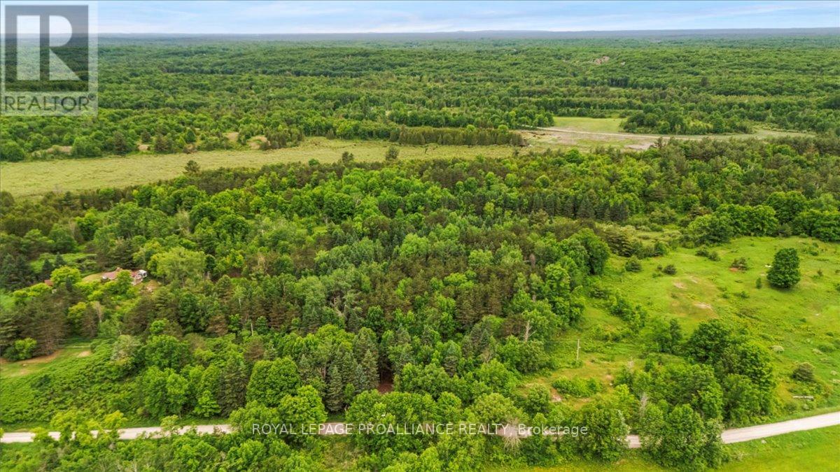 0 Otter Creek Road Property Photo 12
