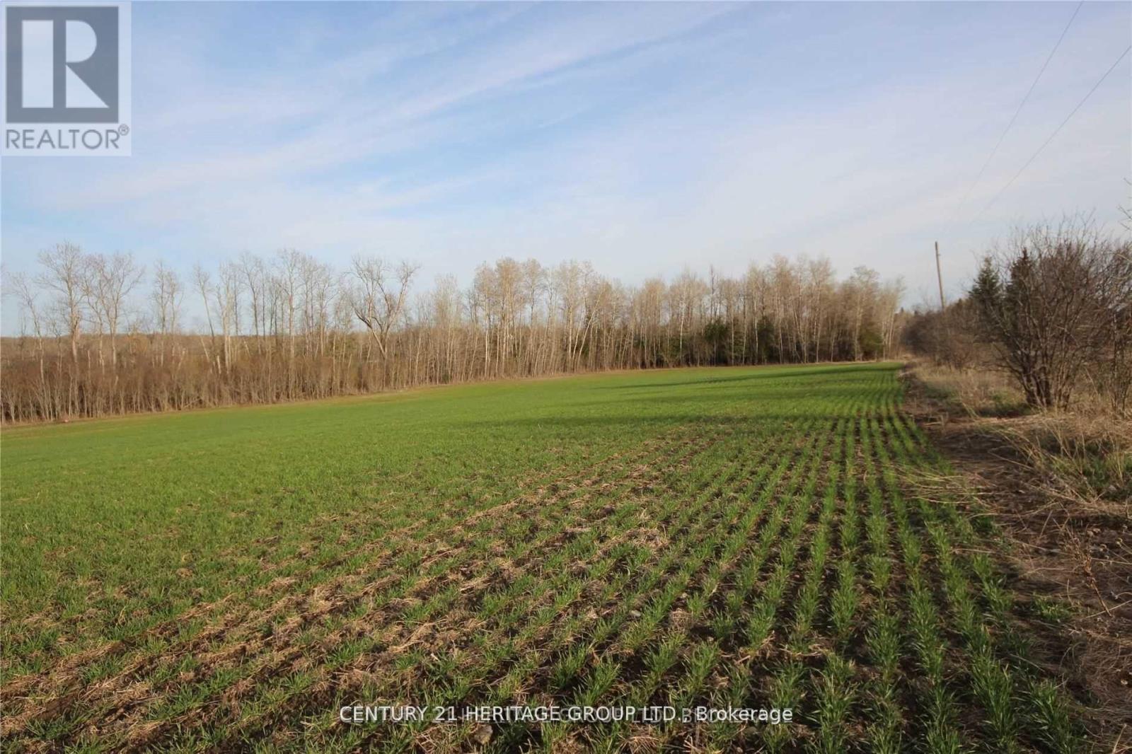 4 Stoney Creek Road E Property Photo 5