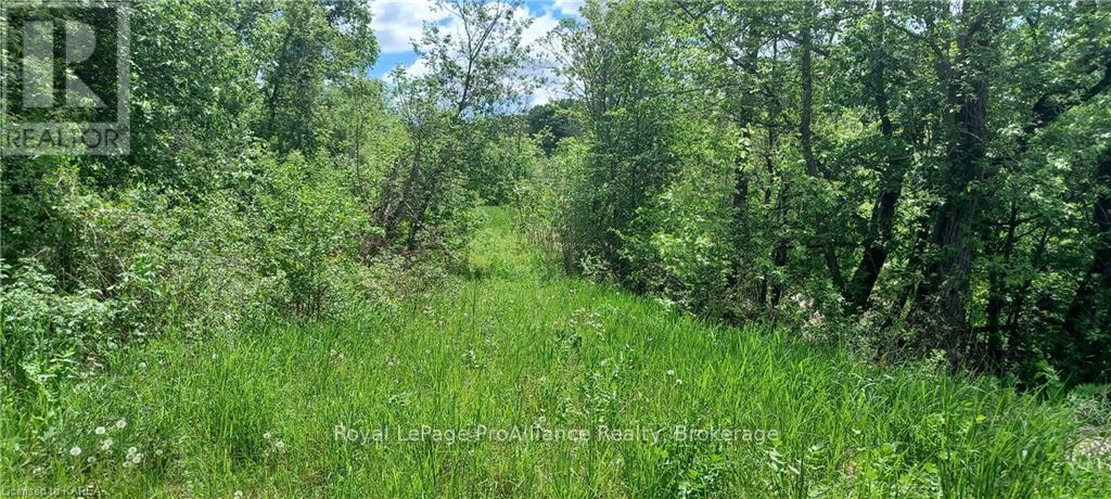 5405 Petworth Road Property Photo 13