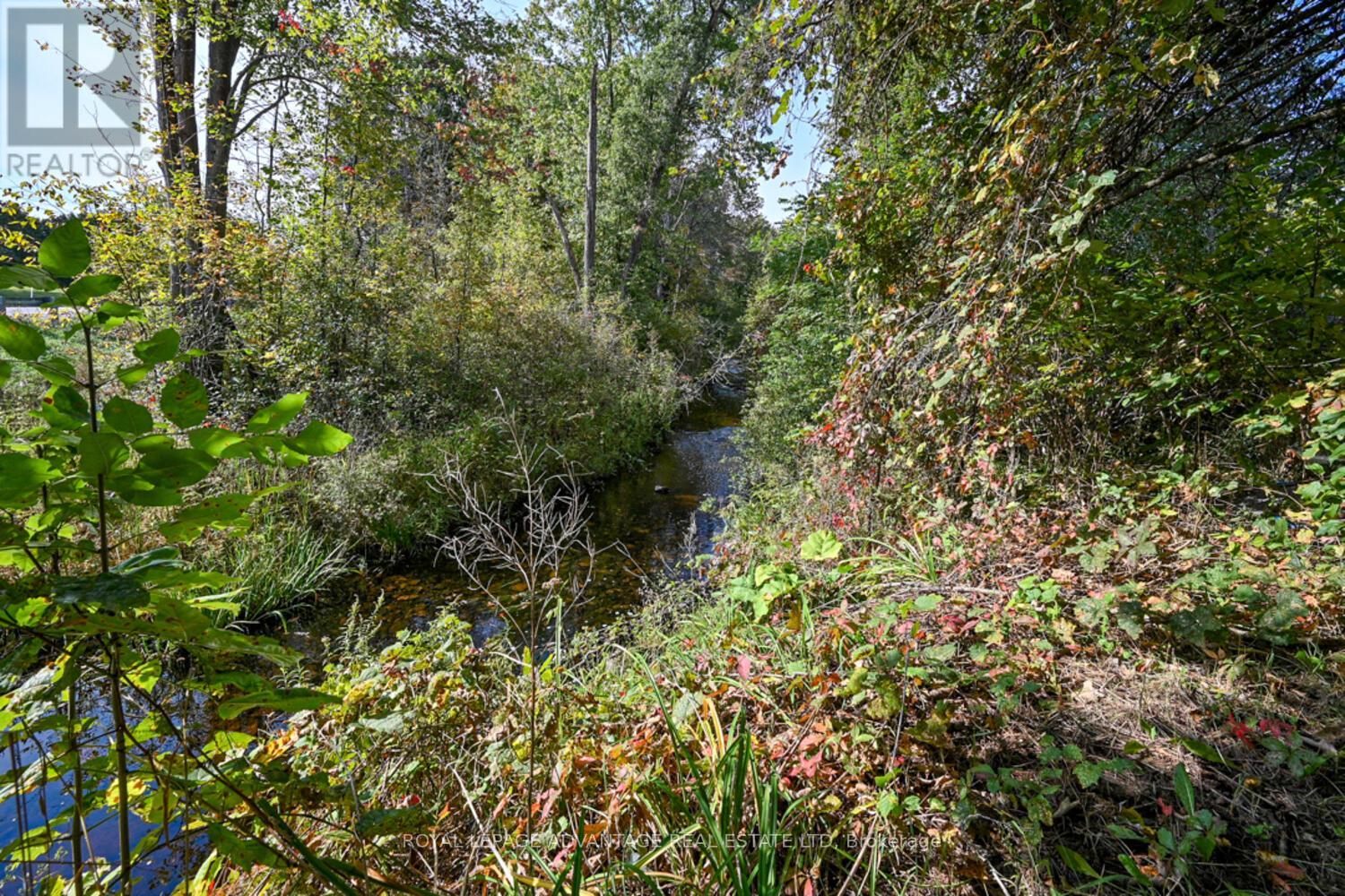 514 County Rd 1 Road Property Photo 40