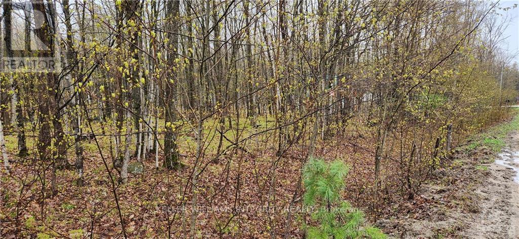 Lot 15 Hollie Drive Property Photo 1