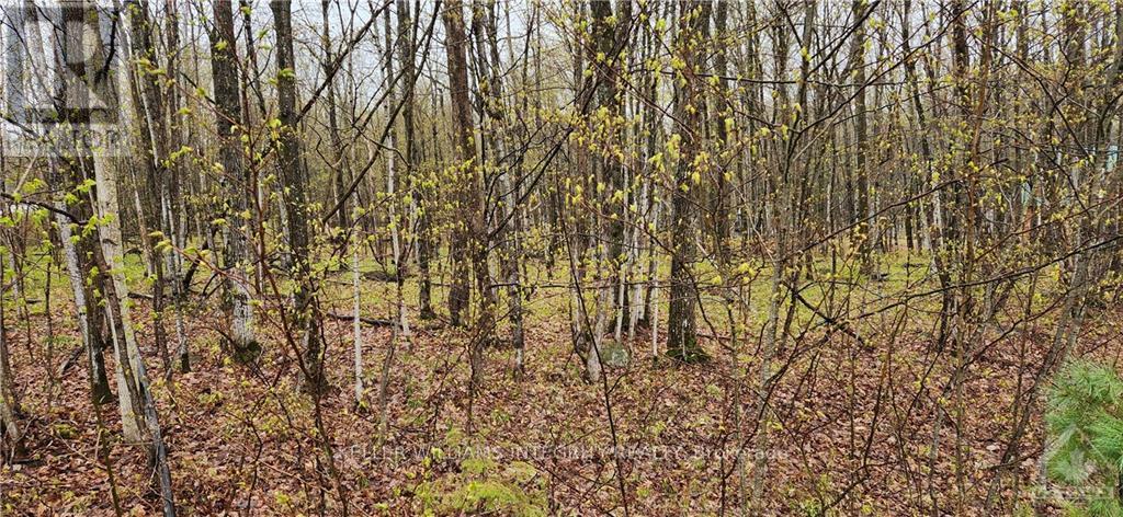 Lot 15 Hollie Drive Property Photo 2