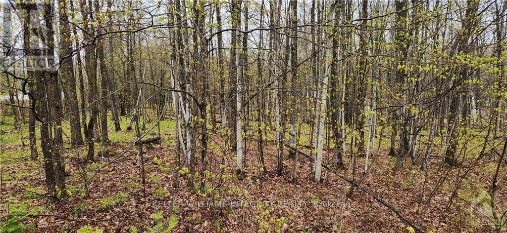 Lot 15 Hollie Drive Property Photo 3