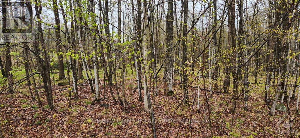 L 10/11 Hollie Drive Property Photo 4