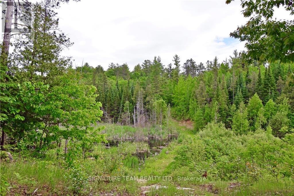 455 Passaw Road Property Photo 6