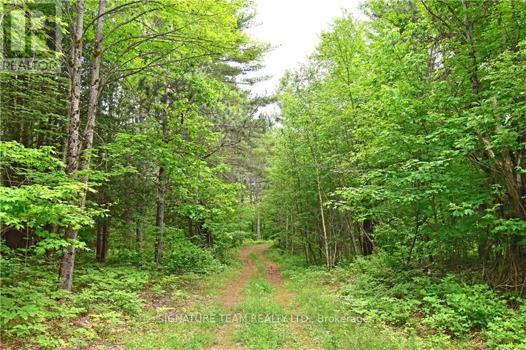 455 Passaw Road Property Photo 16
