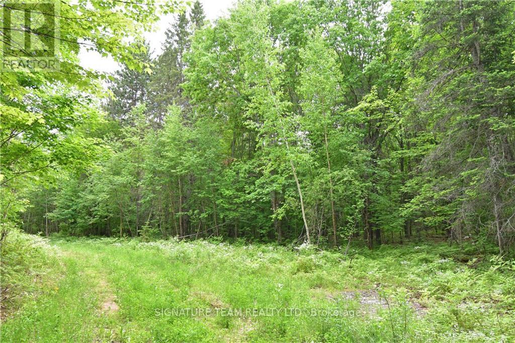 455 Passaw Road Property Photo 17