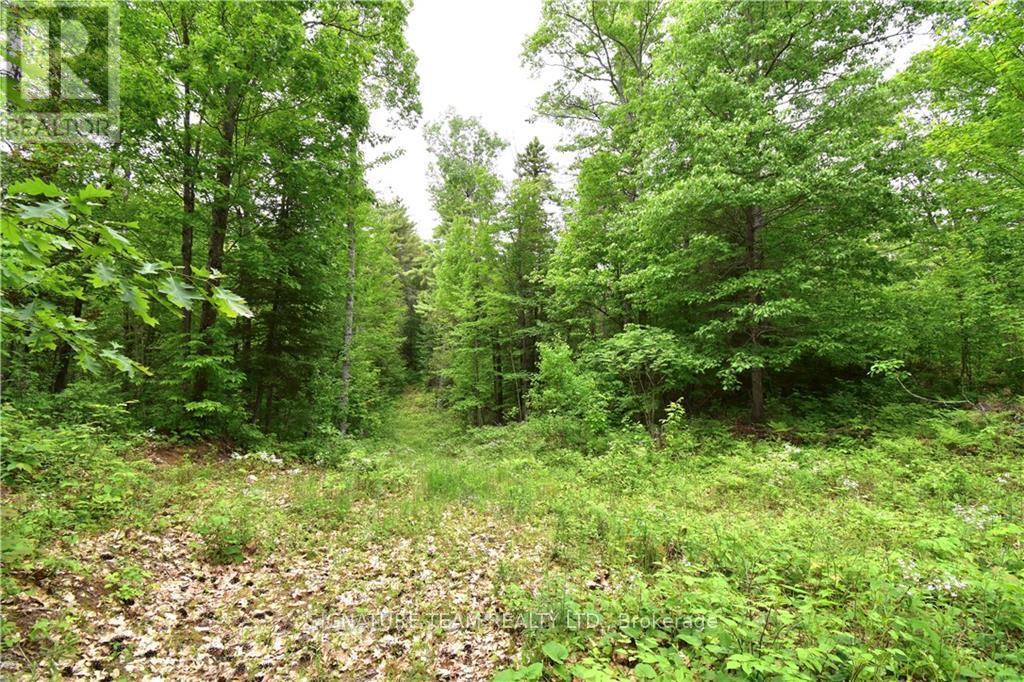 455 Passaw Road Property Photo 18