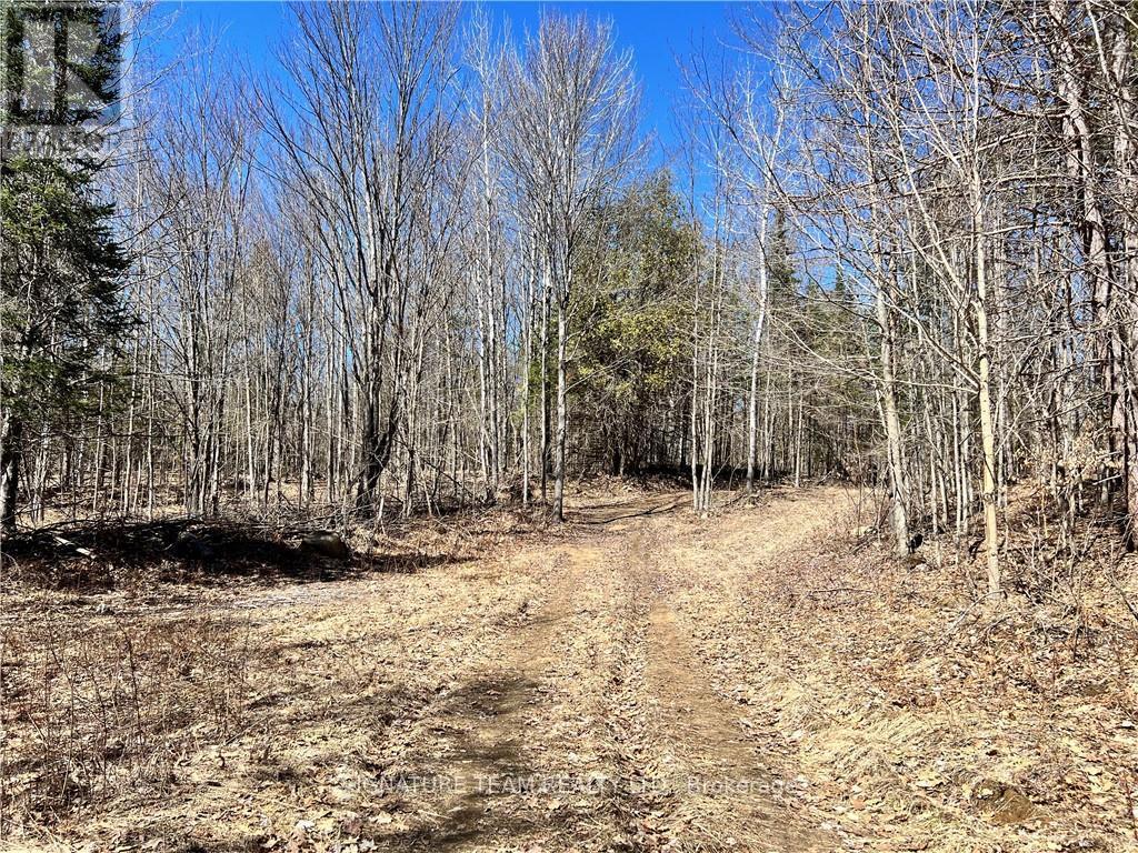 455 Passaw Road Property Photo 21