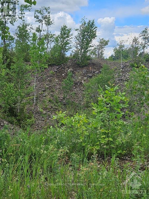 6678 Concession 6 Road E Property Photo 3