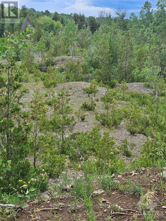6678 Concession 6 Road E Property Photo 5