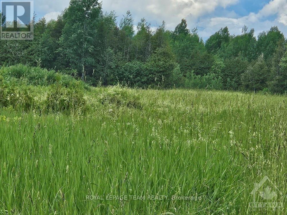 6678 Concession 6 Road E Property Photo 6