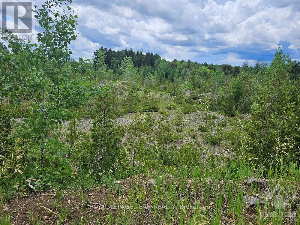 6678 Concession 6 Road E Property Photo 7