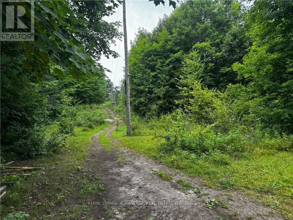 157 Merkley Road Property Photo 4