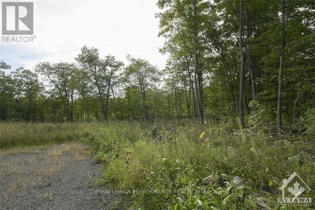 1310 Cumberland Ridge Drive Property Photo 3