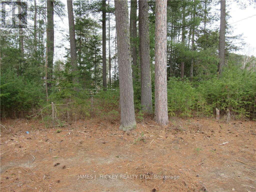 0 Highway 17 Road Property Photo 2