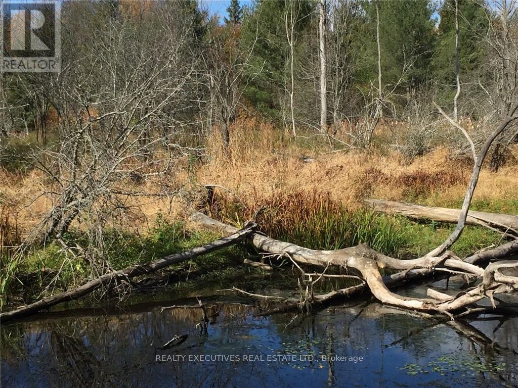 2707 Narrows Lock Road Property Photo 3