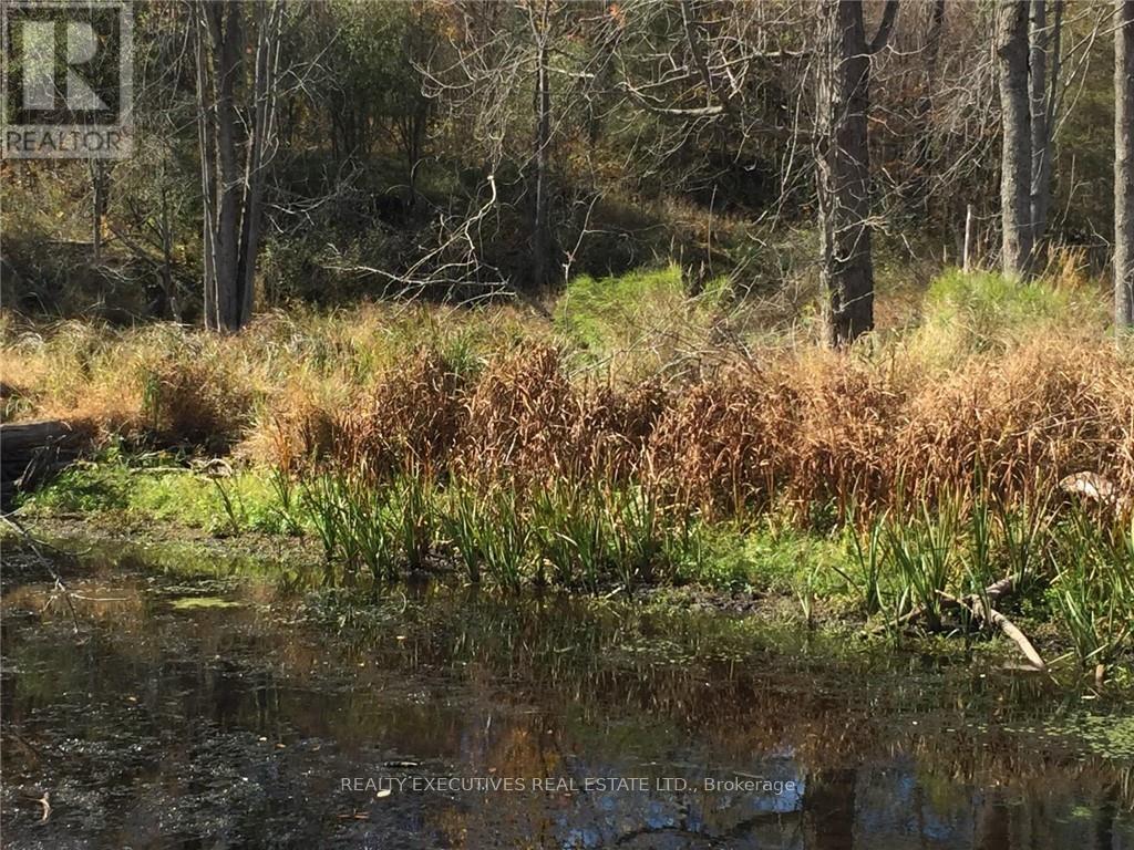 2707 Narrows Lock Road Property Photo 4