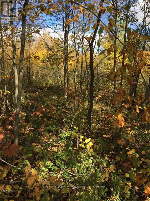 2707 Narrows Lock Road Property Photo 11