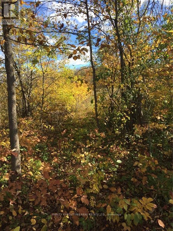 2707 Narrows Lock Road Property Photo 12