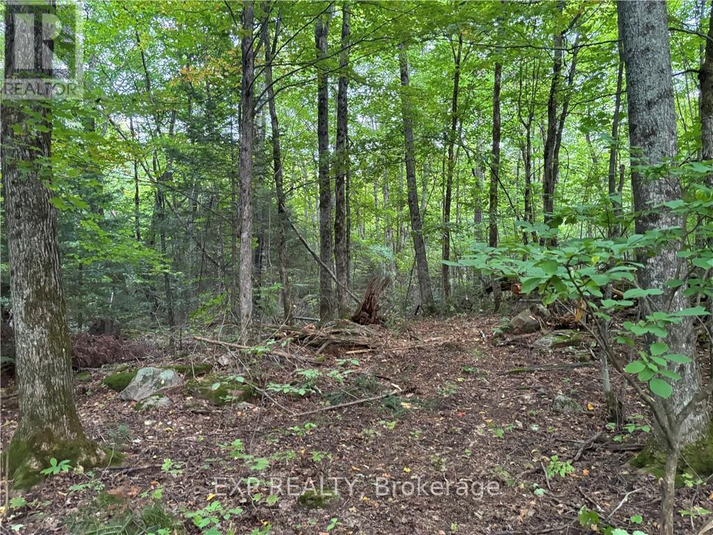 4678 Foymount Road Property Photo 6