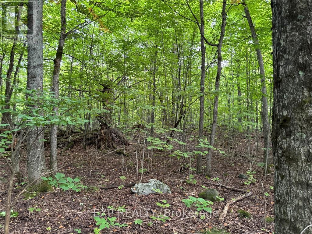 4678 Foymount Road Property Photo 7