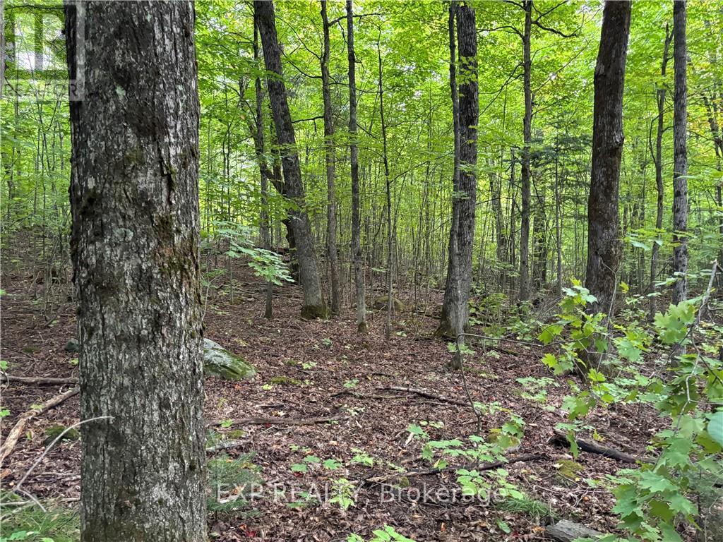 4678 Foymount Road Property Photo 8