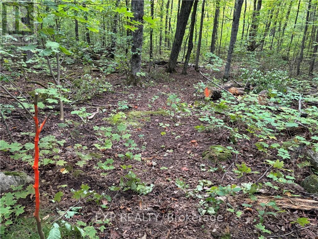 4678 Foymount Road Property Photo 9