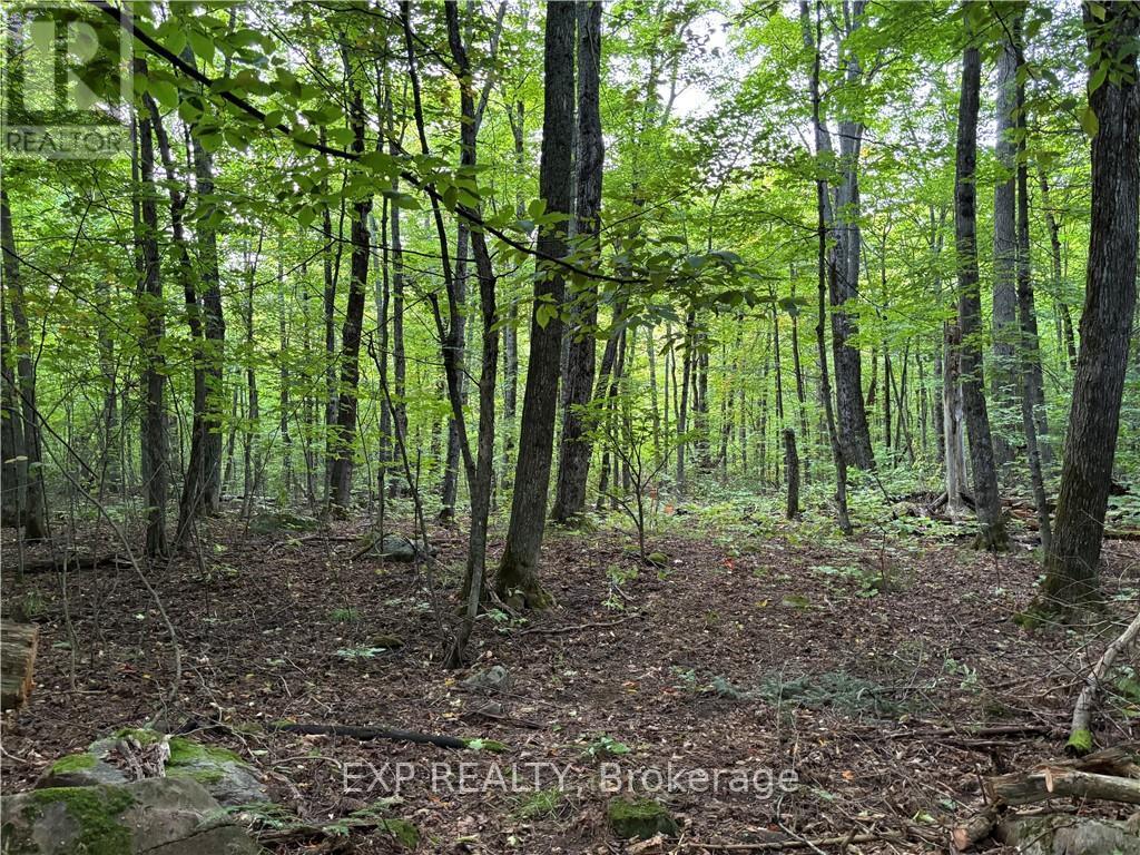4678 Foymount Road Property Photo 10