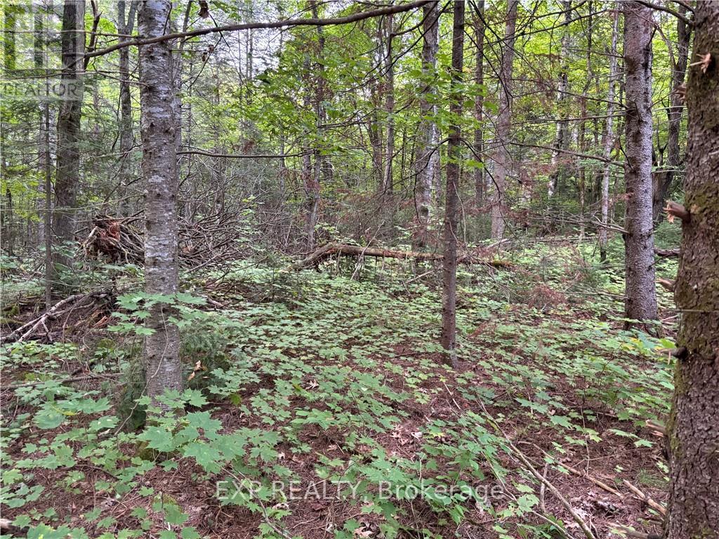 4678 Foymount Road Property Photo 12