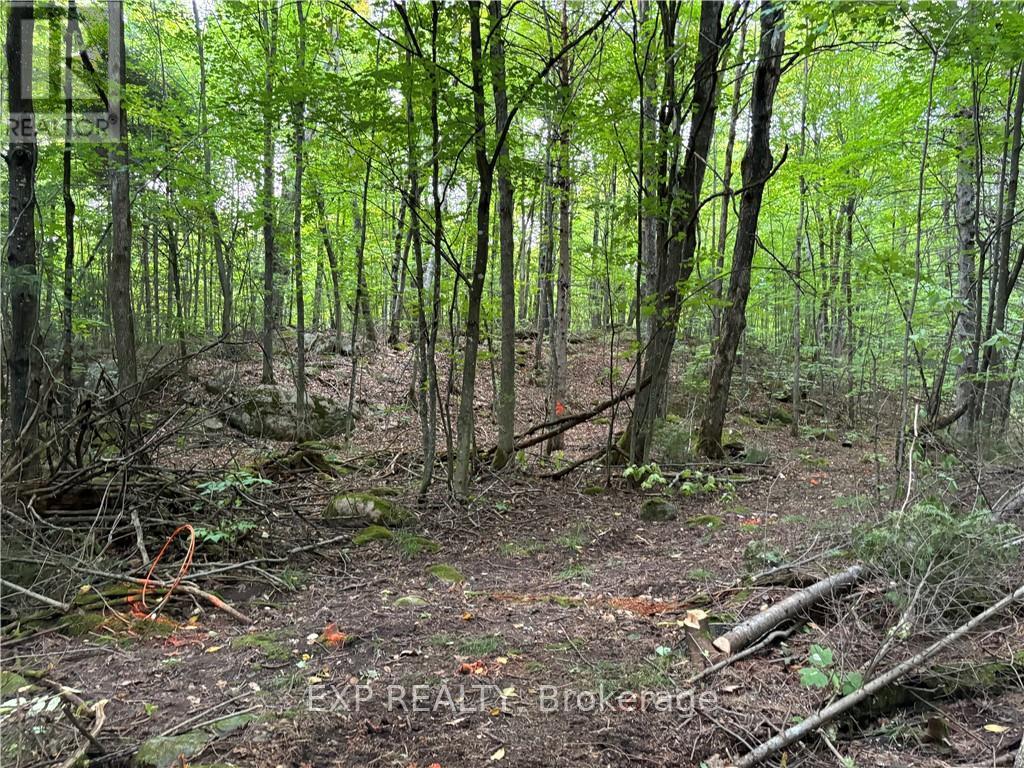 4678 Foymount Road Property Photo 13