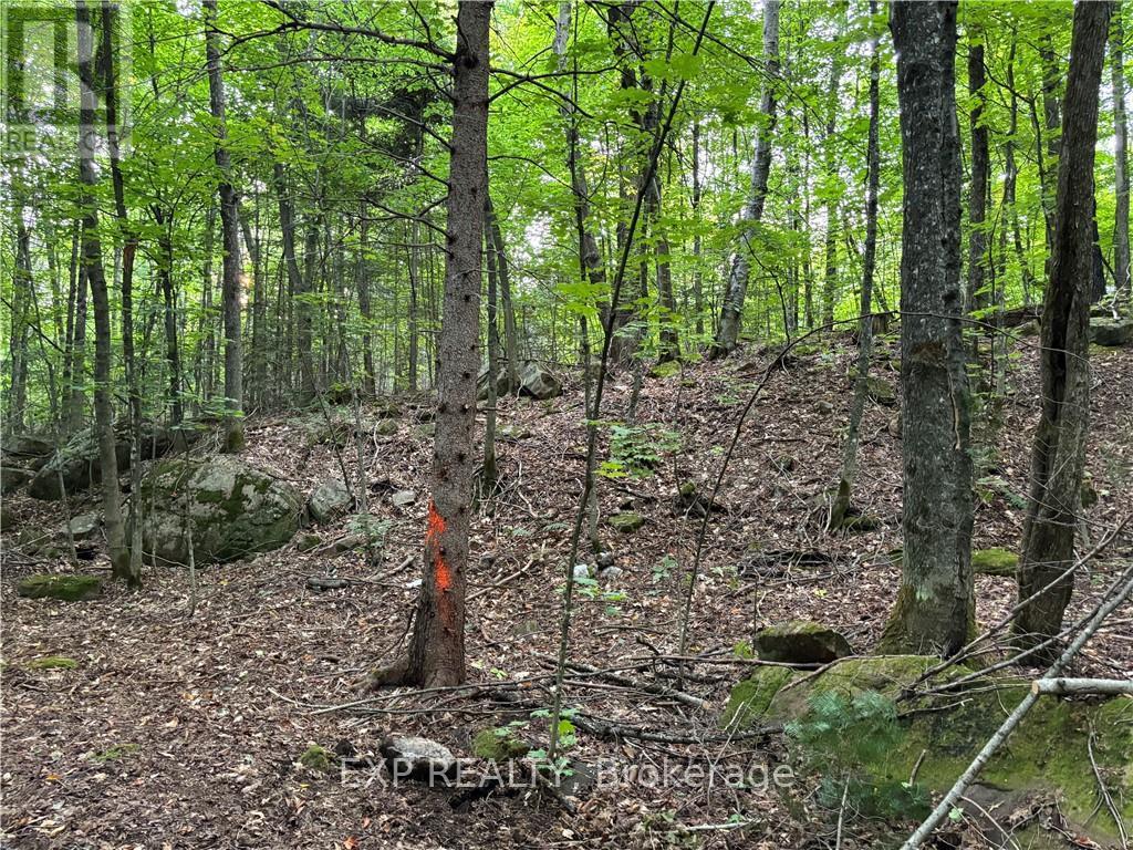 4678 Foymount Road Property Photo 14