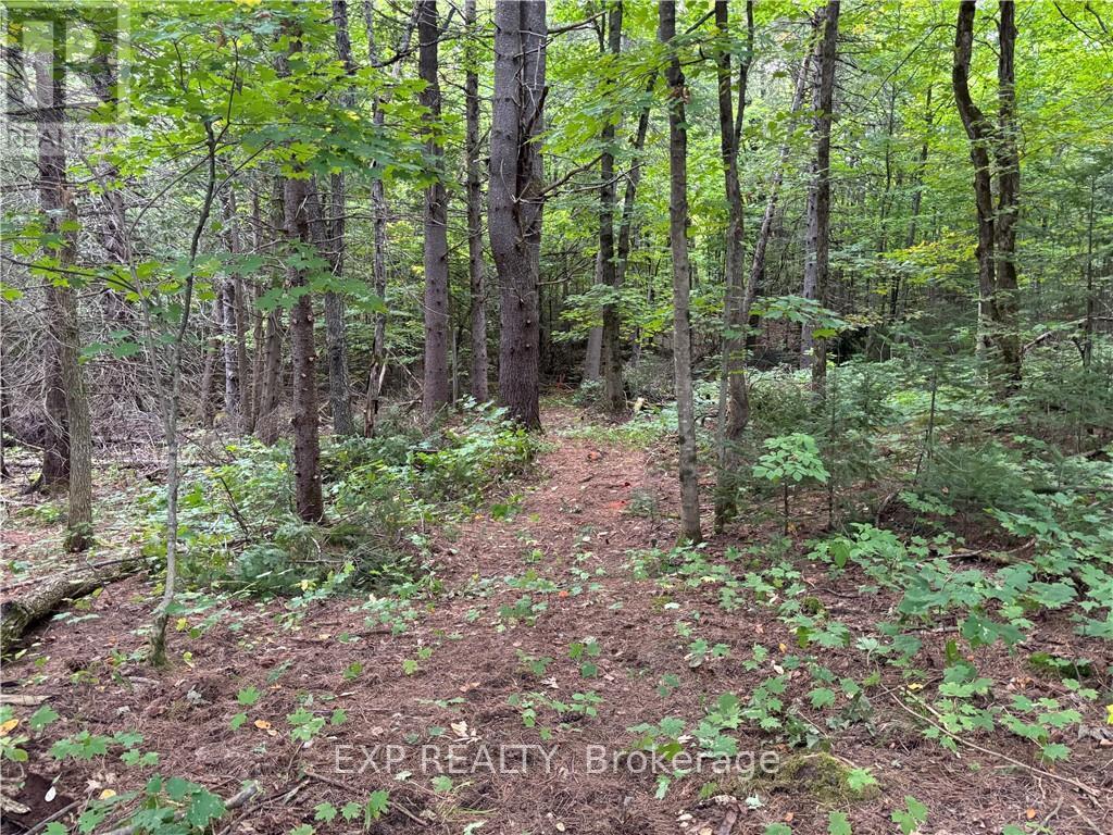 4678 Foymount Road Property Photo 15