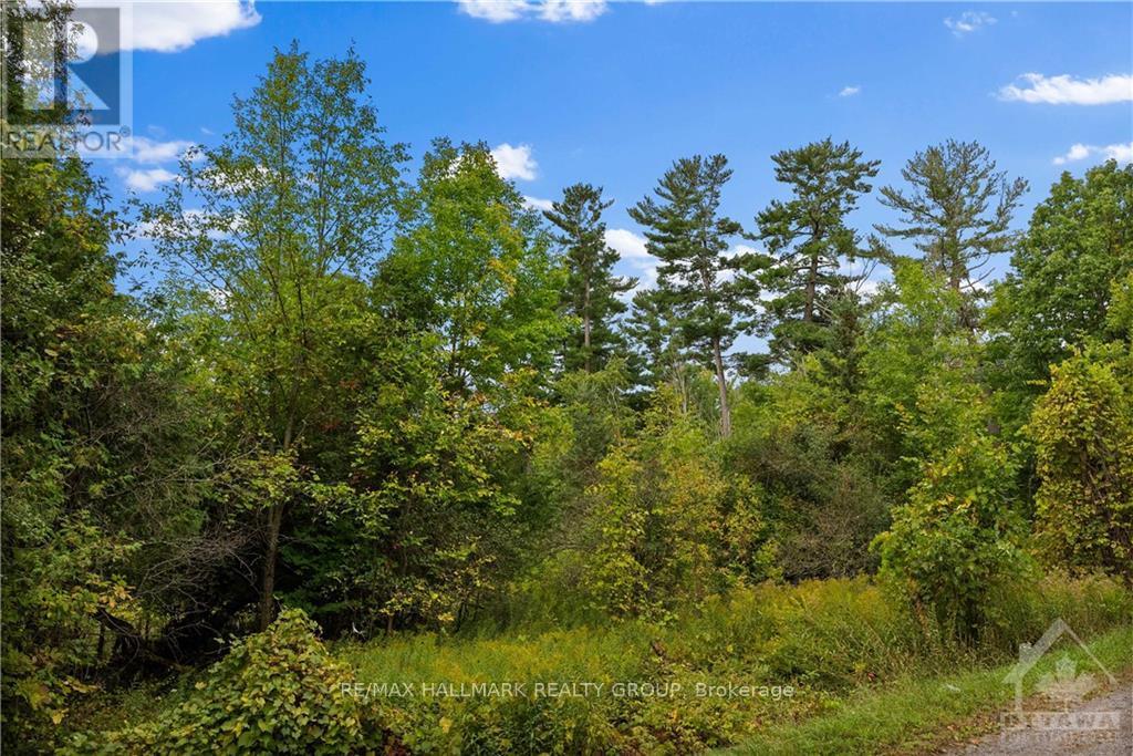 4825 Canon Smith Drive Property Photo 28