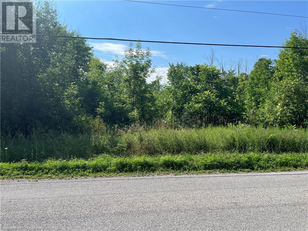 1276 #6 Highway Property Photo 5