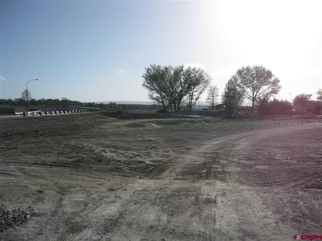 167 Gunnison River Drive Property Photo 2
