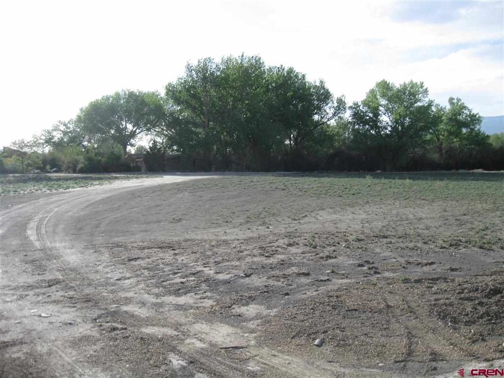 167 Gunnison River Drive Property Photo 3