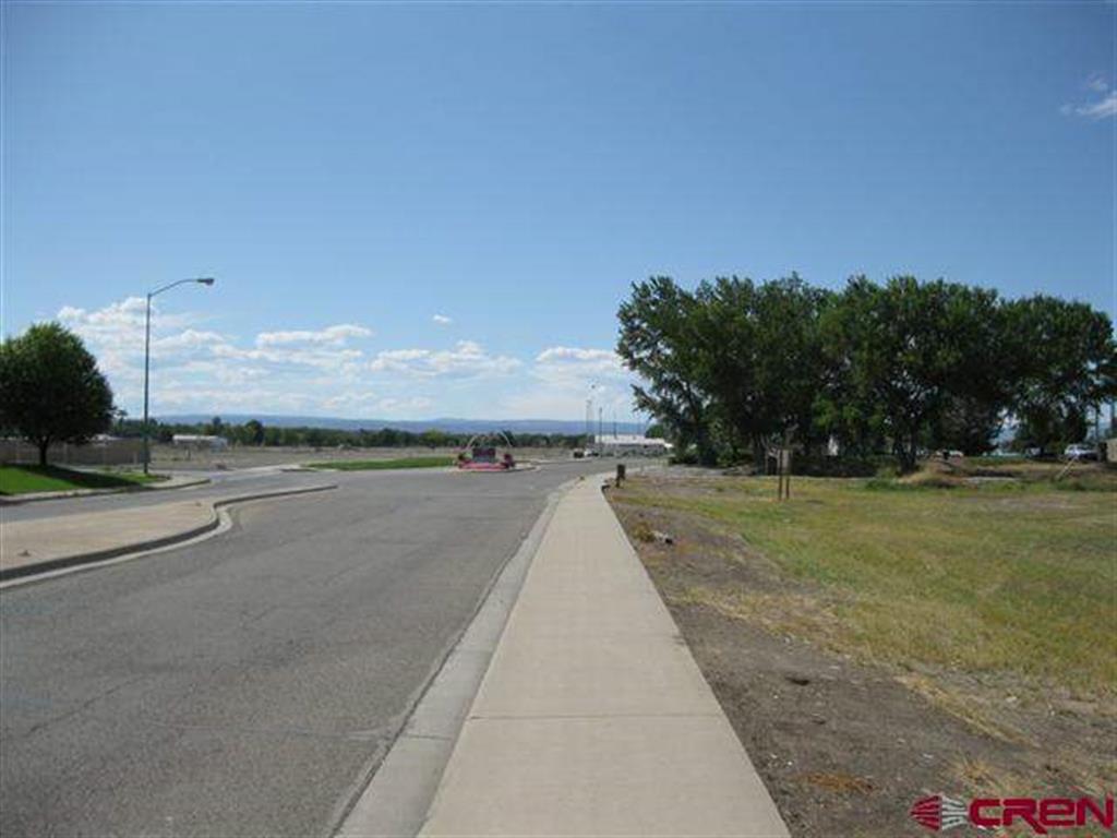 167 Gunnison River Drive Property Photo 9