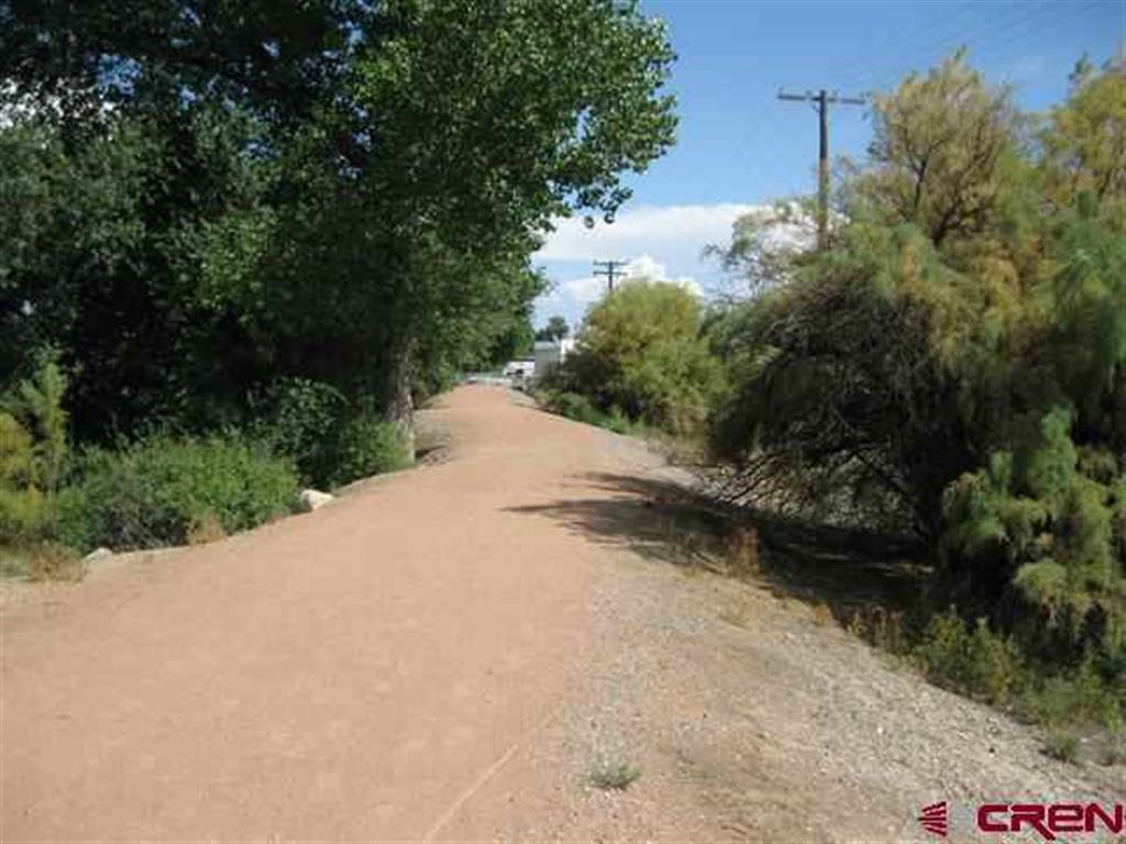 167 Gunnison River Drive Property Photo 10