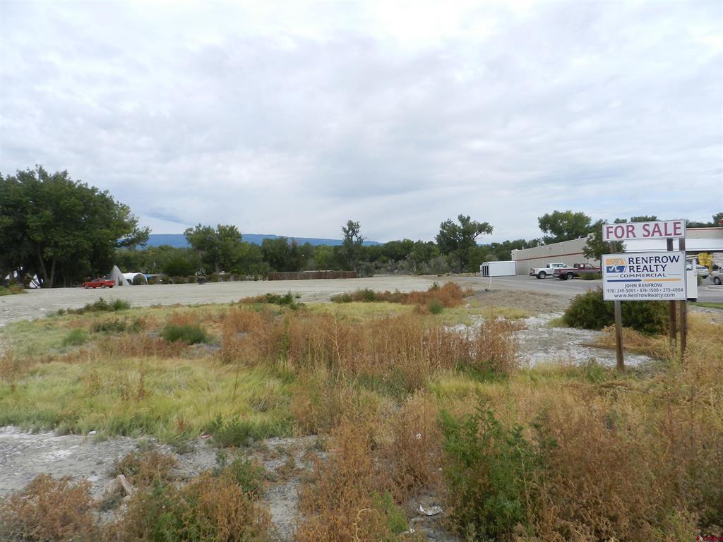 167 Gunnison River Drive Property Photo 11