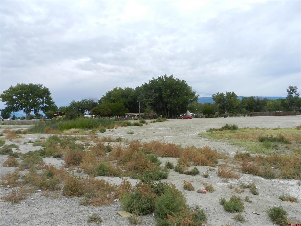 167 Gunnison River Drive Property Photo 12