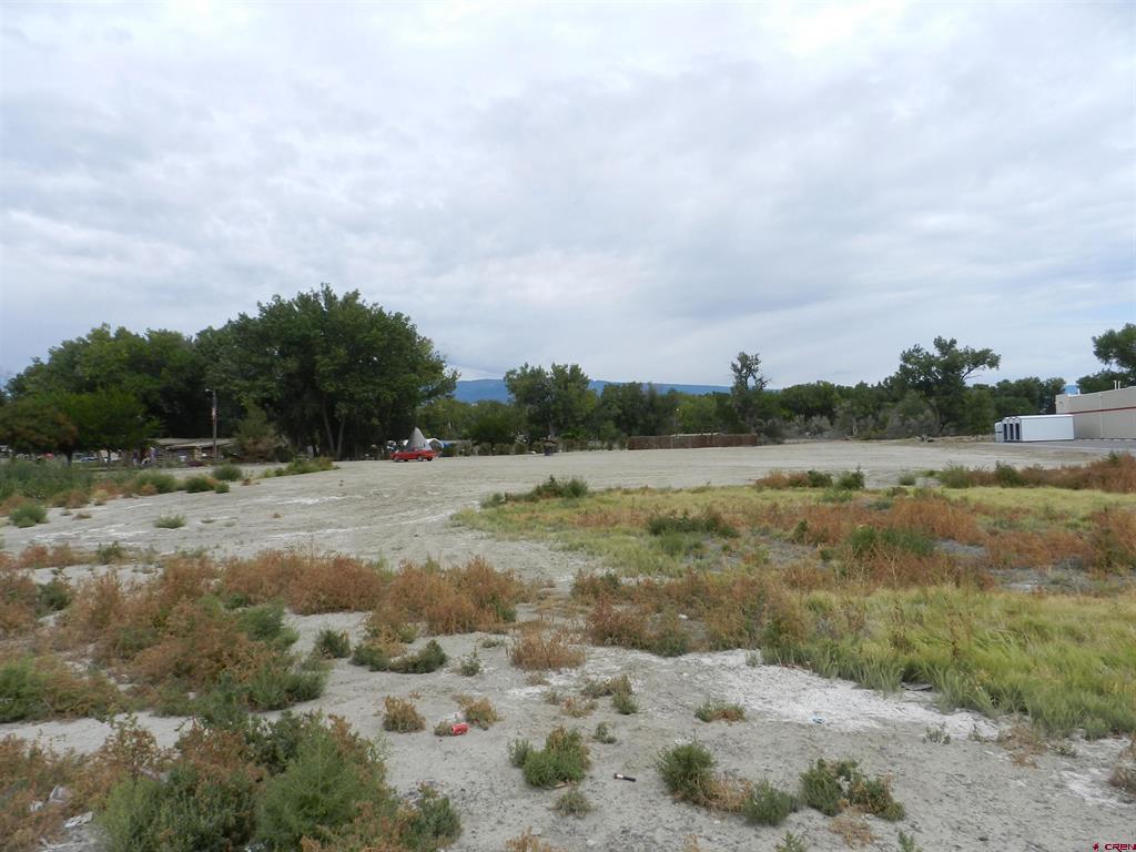 167 Gunnison River Drive Property Photo 13
